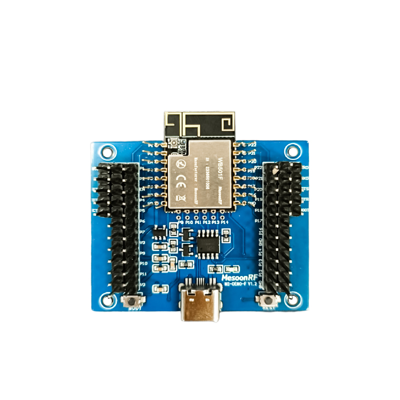 MS-DEMO-F開發板